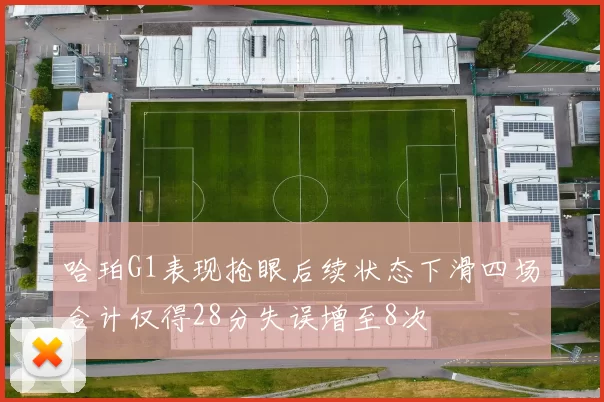 哈珀G1表现抢眼后续状态下滑四场合计仅得28分失误增至8次
